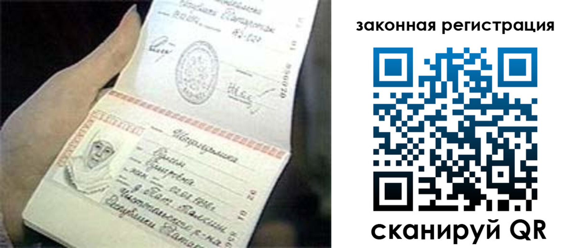 прописка для школы в Заречном